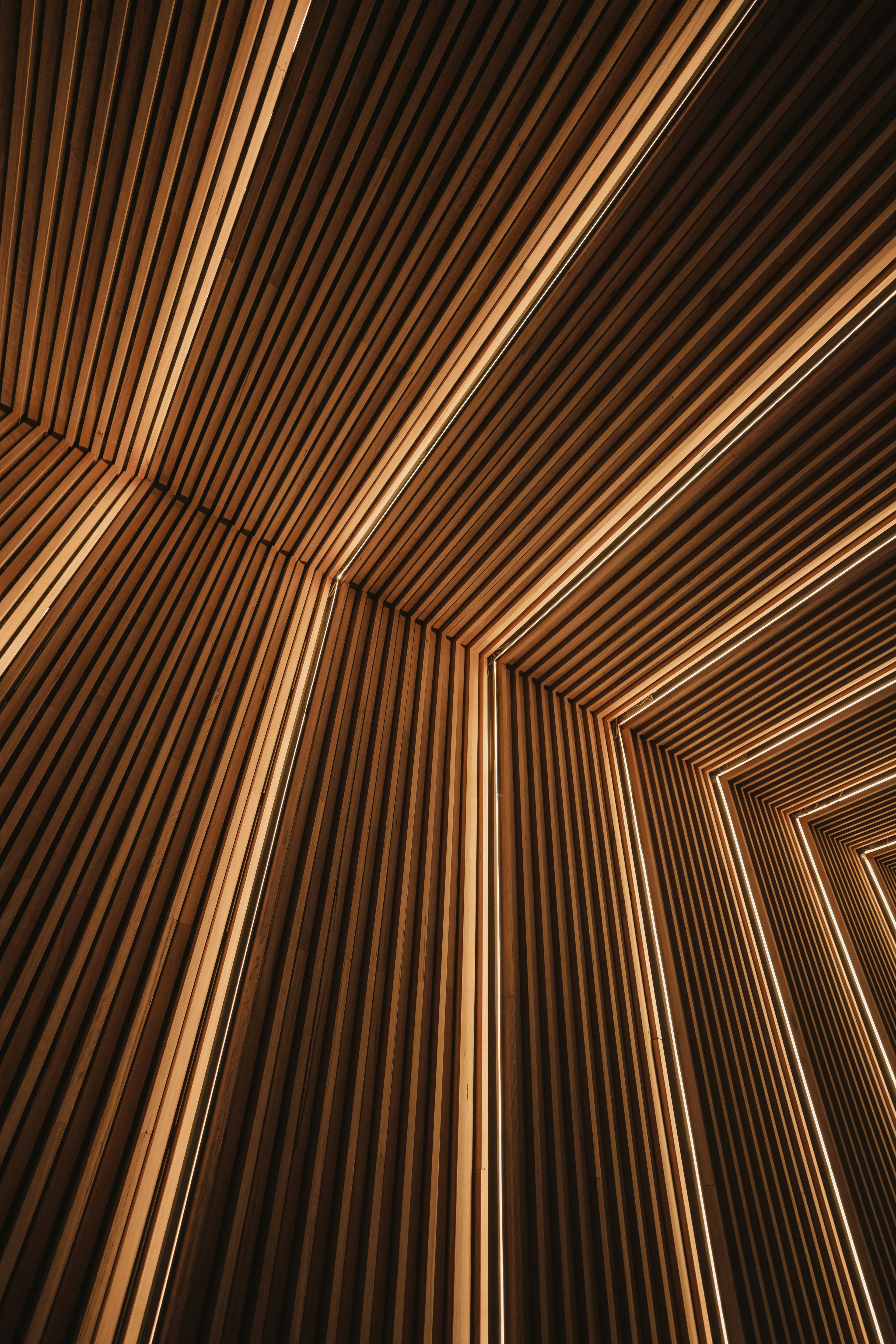 Houtbouw wint terrein als oplossing voor woningnood