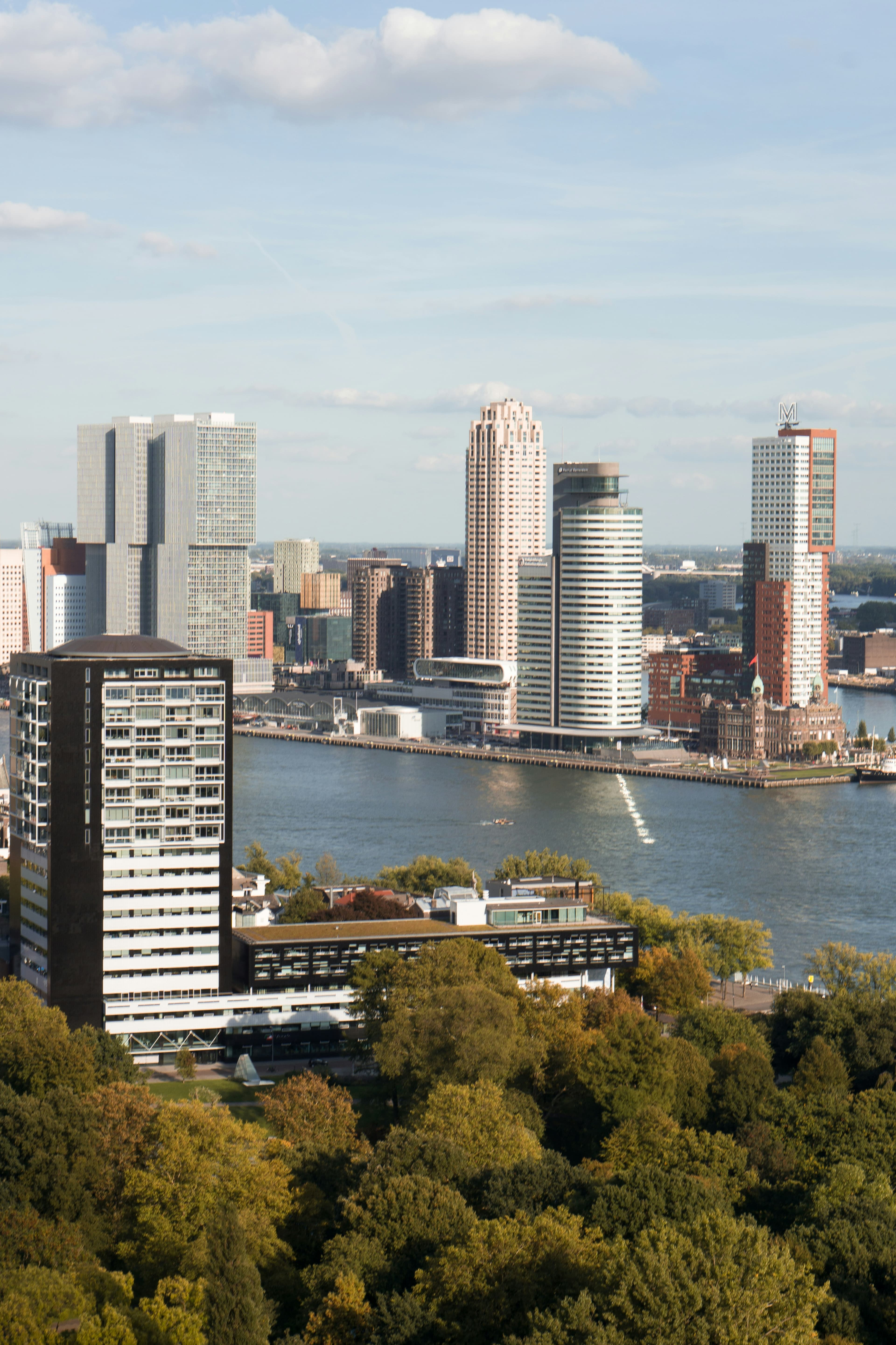 ‘Rotterdam kan het dak op’